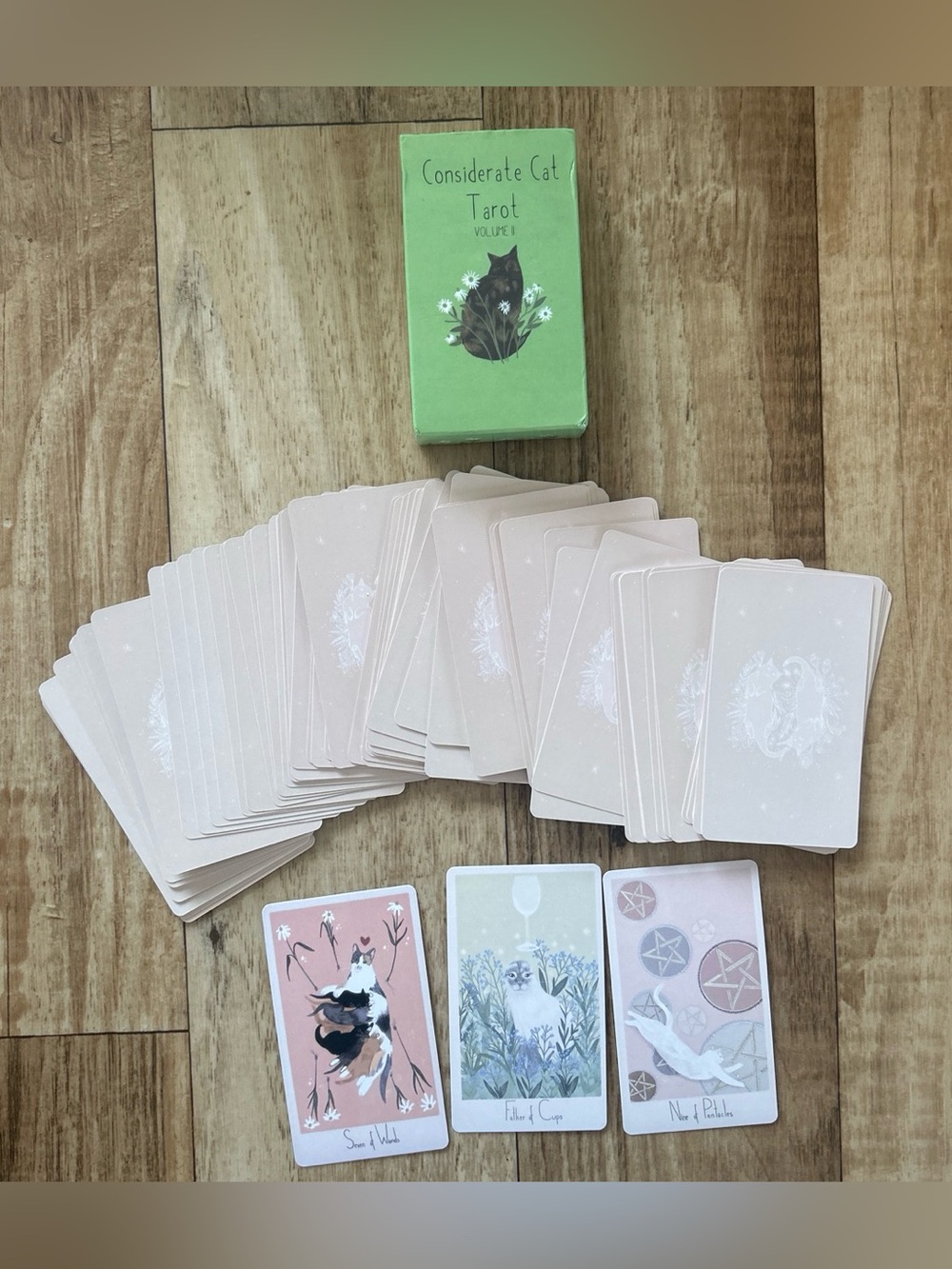 Considerate Cat Tarot Deck